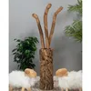 GEH STOCK "WALK" | Teakholz, 120 cm | Wanderstock mit Produktbild-Vorschau 6
