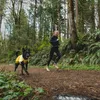 Ruffwear 05303, Pes, Pláštenka, M, Žltá, Nylon, Náhľad obrázku produktu 11