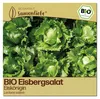 Samenliebe  Salat Samen | Eiskönigin - knackig - Produktbild-Vorschau 1