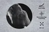 MuchoWow® Mauspad Mousepad Elefant auf schwarzem Produktbild-Vorschau 2
