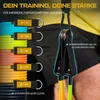 TREX SPORT Expander Gymnastikband 5er Set TX-050TSV Produktbild-Vorschau 2