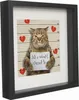 A framed picture of a cat in a mugshot with a sign. Náhled obrázku produktu