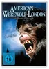 American Werewolf Produktbild-Vorschau 3