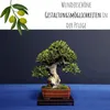 Exotische Bonsai Samen mit hoher Keimrate - Pflanzen Samen Produktbild-Vorschau 2