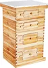 Bienenstock, 40 Rahmen, Zander Beute, mit Bienenwachs Produktbild-Vorschau 9