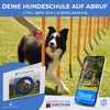 PFOTENWUNDER® 9-in-1 Agility Set Hunde groß + 21 Min. Produktbild-Vorschau 3