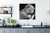 MuchoWow® Poster Koala - Schlafend - Schwarz - Kinder - Produktbild-Vorschau 3