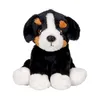 Berner Sennenhund Bruno im Korb - Lustige Tierparade Produktbild-Vorschau 2