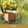 Lavea® 2er Set Kissenbezug 60x60 cm, 100% Baumwolle Jersey, Produktbild-Vorschau 7