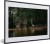 MuchoWow® MuchoWow® Gerahmtes Poster Reiher - Wald - See Produktbild-Vorschau 1