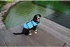 Dog Swimmer plávacia vesta pre psa modrá, M Náhľad obrázku produktu 3