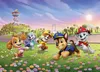 Fototapete Vlies FTDXL 2063 Paw Patrol Dogs grün 4-tlg. 252 Produktbild-Vorschau 1
