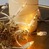Luci di fata per interni 10 luci calde trasparenti, Anteprima dell’immagine prodotto 1