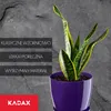 Vaso da fiori in plastica KADAX "Agen", vaso con sottovaso. Anteprima dell’immagine prodotto 6