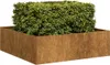 vidaXL Bac à plantes rouillé 100x100x30 cm Acier résistant Voir les images du produit 7