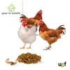 UGF vers de Farine séchés de qualité supérieure 460 g (seau Voir les images du produit 4