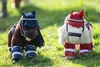 Two toy ponies dressed in riding gear, standing in a grassy field. Náhľad obrázku produktu