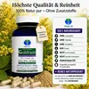 Złotoklono (Solidago) – 180 kapsułek – dla wsparcia Podgląd zdjęcia produktu 6