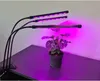 Gardlov 2x LED Lempa augalų auginimui - 2 vnt. Náhľad obrázku produktu 17