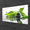 Acrylglasbilder 100x50 Wandbild Druck Steine Blätter Kunst Produktbild-Vorschau 2