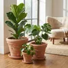 Teramico Premium Terracotta Untersetzer Ø 42 cm | Frostfest Produktbild-Vorschau 9