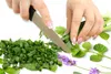 Hands chopping green onions and other herbs on a white surface. Náhľad obrázku produktu
