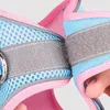 Hundegeschirr Leine Set Reflektierende Atmungsaktive Mesh Produktbild-Vorschau 8