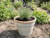 Květináč Lafiora glazovaná keramika Ø 34 x 26,5 cm světle Náhled obrázku produktu 2