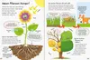 An open book page with illustrations and text explaining plant biology. Voir les images du produit