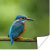 MuchoWow® Poster Eisvogel - Zweig - Moos - Vogel - Grün Produktbild-Vorschau 1