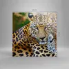 Bild auf Leinwand - Leinwandbild - Leopardpanther Katze Produktbild-Vorschau 3