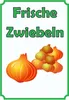 Verkaufsschild Schild Zwiebeln Hochkant A1 (594x841mm) Produktbild-Vorschau 1