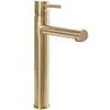 A close-up studio shot of a gold-colored faucet against a white background. Náhled obrázku produktu