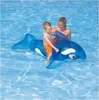 Reittier Kleiner Delfin 152cm mit Griff Produktbild-Vorschau 20