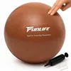 Palla Pilates FunLife da 25 cm con pompa, piccola palla Anteprima dell’immagine prodotto 1