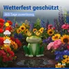 Maximex Solar Gartenfigur Frosch Mod. Blinky Eyes mit LED Produktbild-Vorschau 7