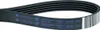 A black serpentine belt with white and blue text and markings. Voir les images du produit