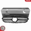 ESEN SKV 66SKV533 Kühlergrill Frontgrill passend für Produktbild-Vorschau 1