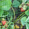 4 Stück Vogelnetze 4 x 5 m Vogelschutznetz Vogelabwehr Produktbild-Vorschau 7