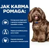 HILL'S Prescription Diet b/d Canine 12 kg Podgląd zdjęcia produktu 4