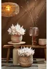 Mica Decorations Blumentopf - Rattan - beige - Jute - 22 x Produktbild-Vorschau 9