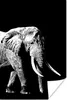 MuchoWow® Poster Elefant vor schwarzem Hintergrund - Produktbild-Vorschau 1