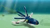 LEGO® Creator 31088 Obyvatelia morských hlbín Náhľad obrázku produktu 23