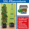 Pflanzentopf mit Tomatenstütze, Kletterpflanze, 150 cm Produktbild-Vorschau 5
