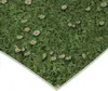 A close-up view of a green grassy surface with small white daisies scattered throughout. Produktbild-Vorschau