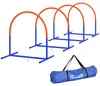 PawHut agility-trainingsapparatuur voor honden, honden Productafbeelding-voorbeeld 1