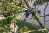 Sekator do gałęzi v-series-d ostrze mijające 50mm Produktbild-Vorschau 3