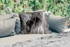 MuchoWow® Outdoor Kissen - Scottish Hochlandrind - Auge - Produktbild-Vorschau 2