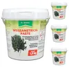 Dr. Stähler Weißanstrich-Paste für Obstbäume gegen Produktbild-Vorschau 6