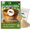 Futeco® – SF-Nematoden (3 Mio.) gegen Trauermücken – für 30 Produktbild-Vorschau 1